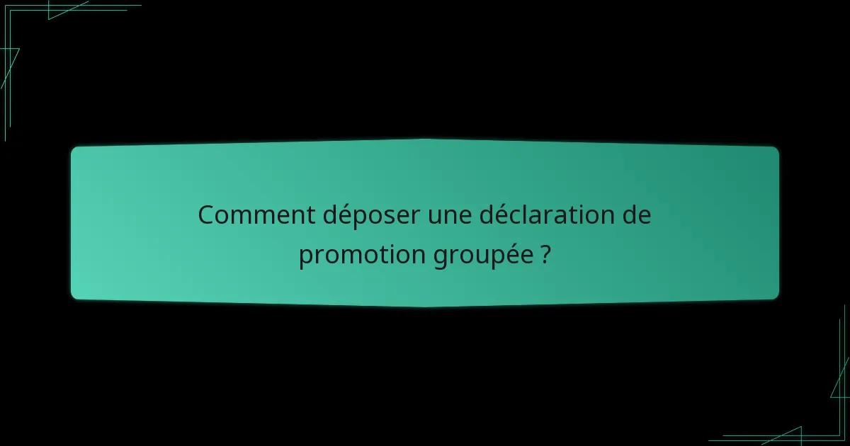 Comment les utilisateurs peuvent-ils suivre leurs déclarations de promotions groupées ?